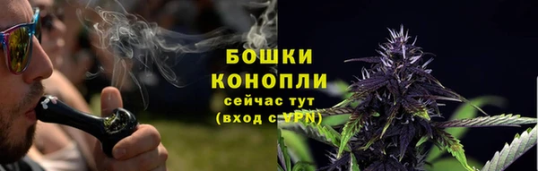 a pvp Белокуриха