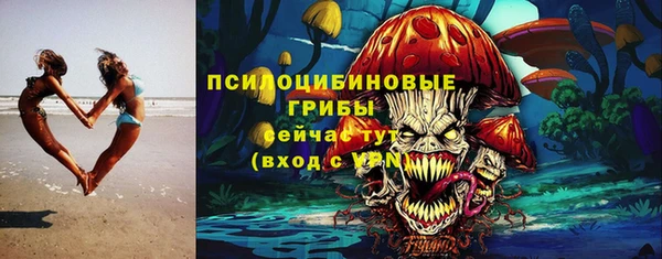 a pvp Белокуриха